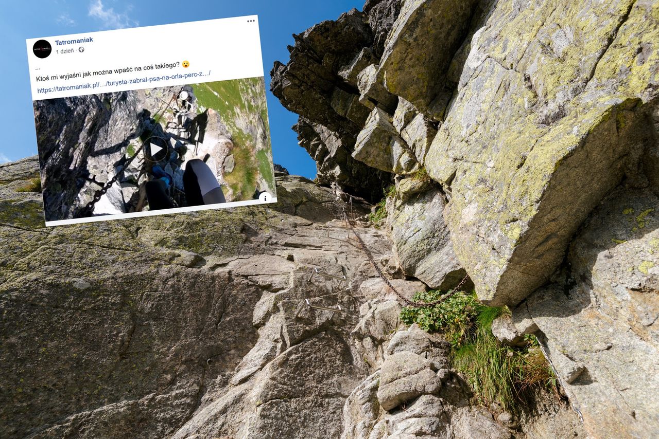 Tatry. Zabrał psa na Orlą Perć. "Jak można być takim człowiekiem?"