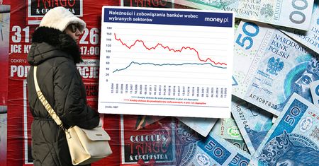 Kredyt w zaniku. Gospodarstwa domowe i firmy ograniczają zadłużenie [ANALIZA]