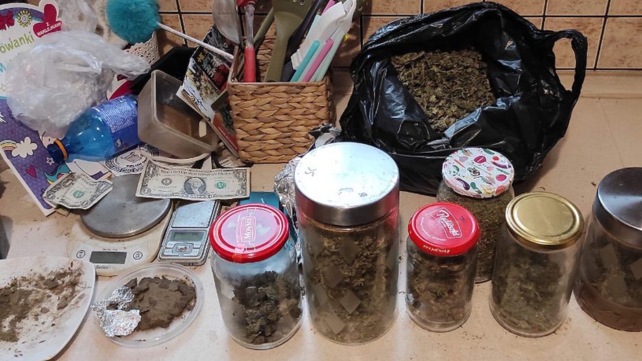 Warszawa. Domowa plantacja konopi. 32-latek w rękach policji