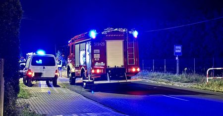 Strzałków: Ford uderzył w konia. Nieprzytomny kierowca trafił do szpitala