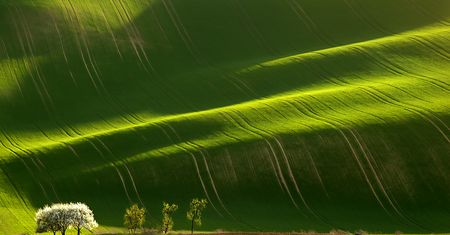 „Fotograf pejzażu zatrzymuje czas" - krajobrazy leśnika i fotografa Marka Kiedrowskiego