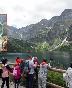Kupiła butelkę wody w schronisku przy Morskim Oku. Cena zwala z nóg
