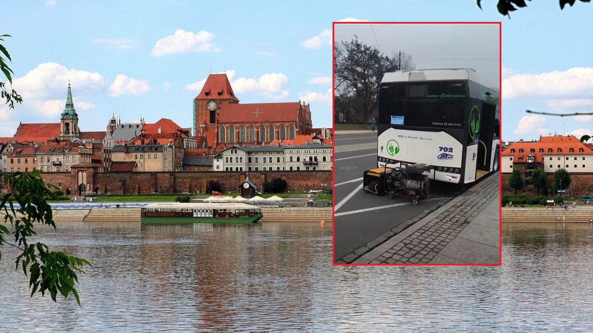 Kuriozalne zdjęcie z Torunia