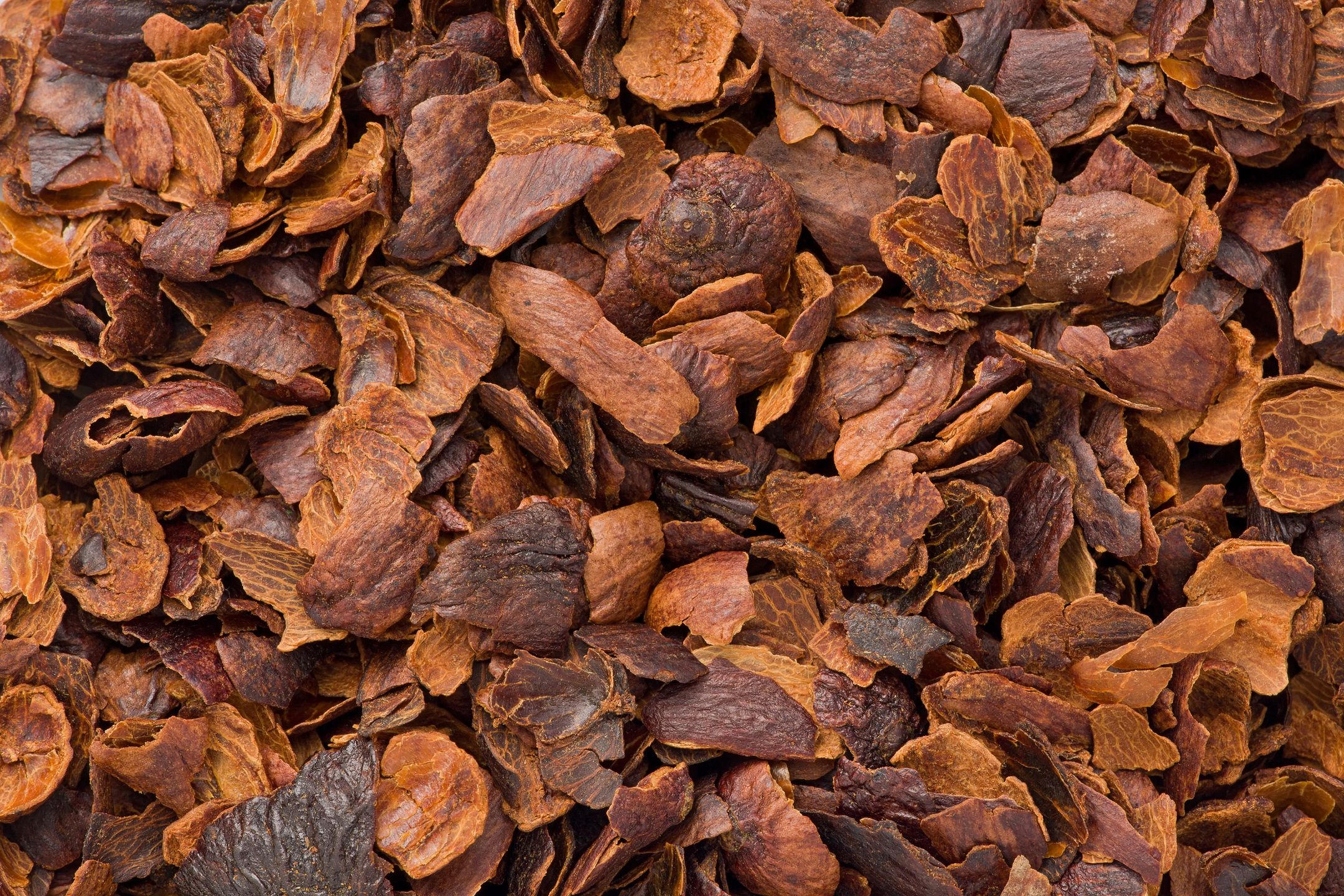 Cascara to suszona skórka i miąższ owoców kakaowca