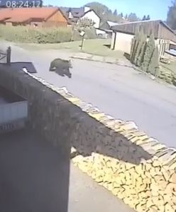 "Wchodzą nam do domów". Mieszkańcy publikują kolejny film grozy