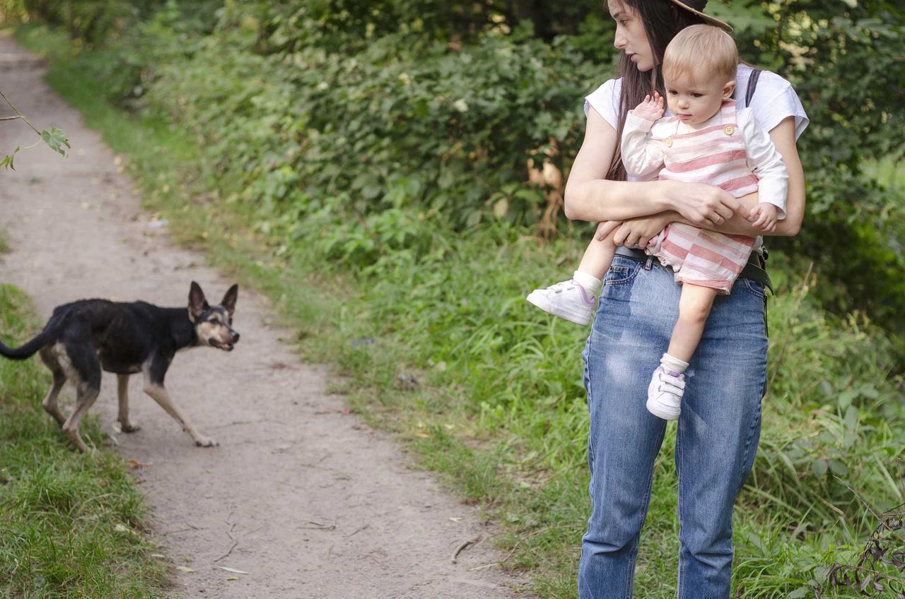 Czym jest kynofobia u psa? Ekspert wyjaśnia