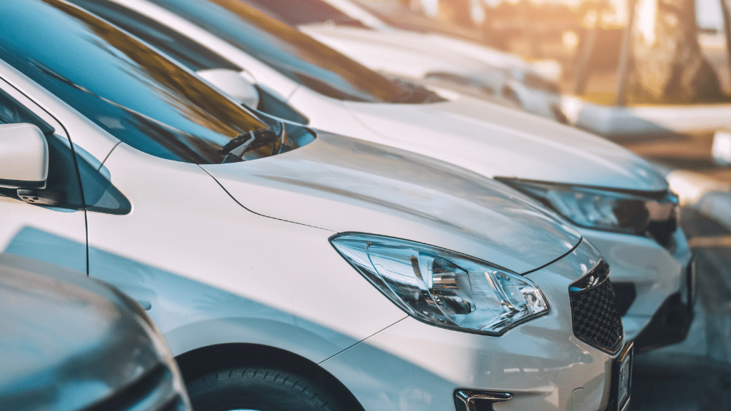 Zdjęcie ilustracyjne do artykułu