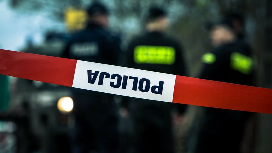 policja