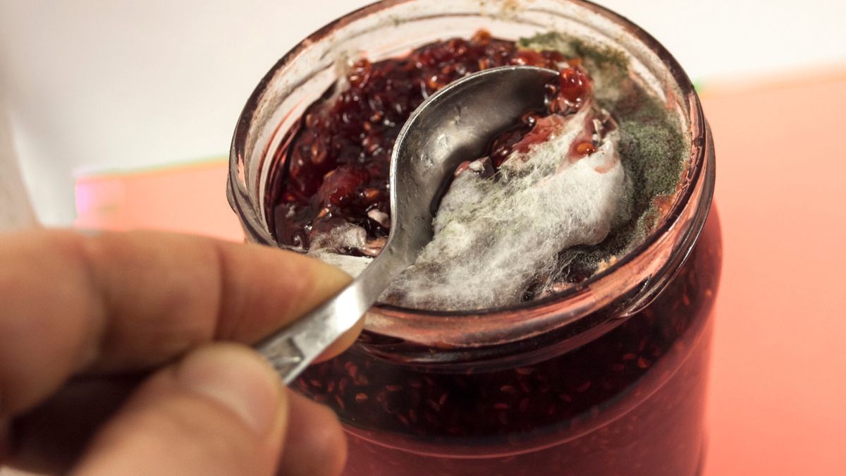 Pleśń w słoiku z dżemem owocowym