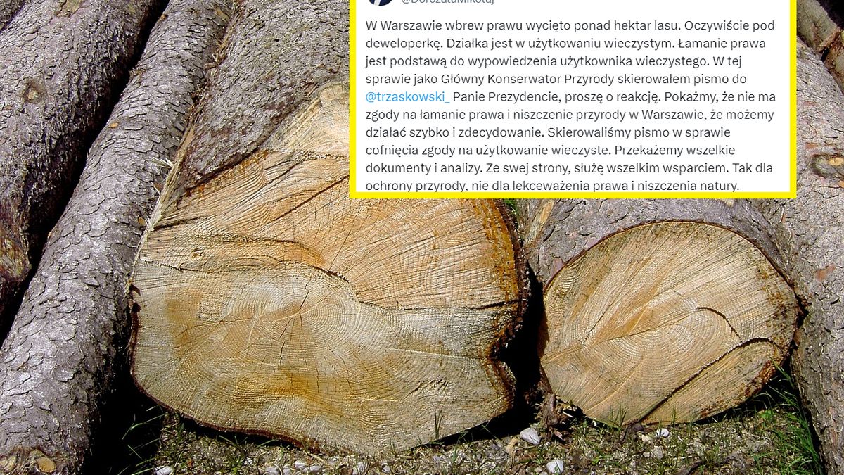 Na warszawskich Bielanach wycięto ponad hektar lasu