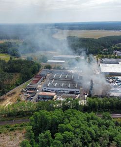 Przynieśli prezydentowi Zielonej Góry warzywa z okolic Przylepy. "Smacznego"