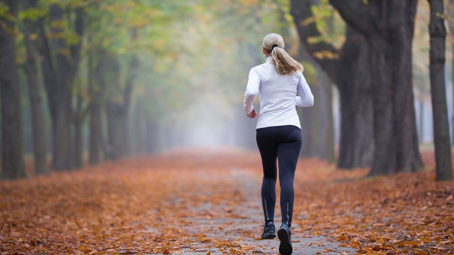 rear view woman jogging alone in avenue with old trees in autumn