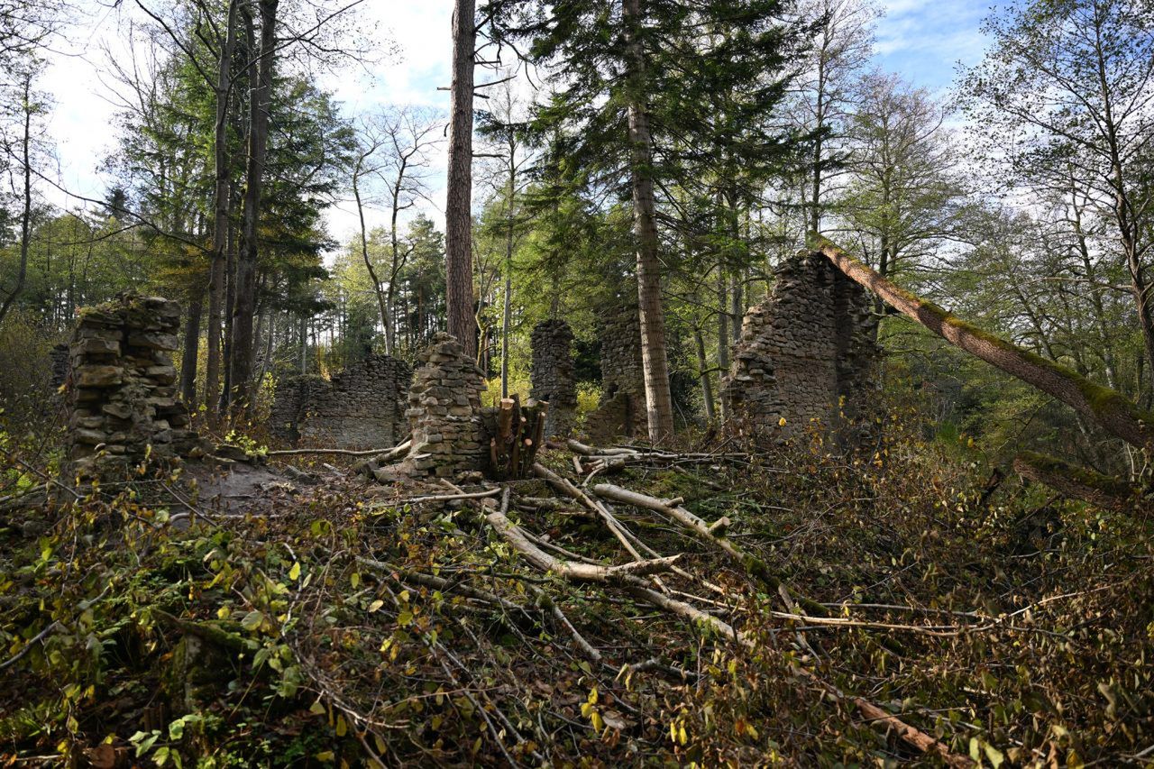 Józefów: Jedno z najczęściej odwiedzanych miejsc na Roztoczu. Leśnicy zrobili porządek