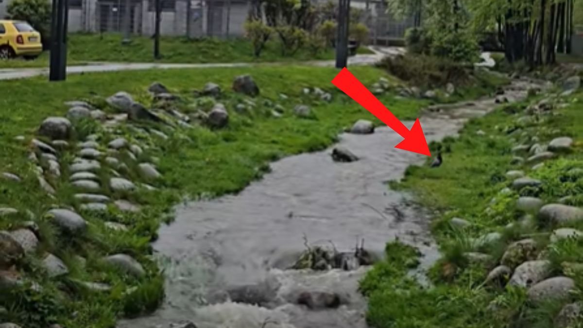 Nagranie z Zakopanego obiega sieć.