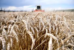 Wojna w Ukrainie. Świat u progu kryzysu żywnościowego