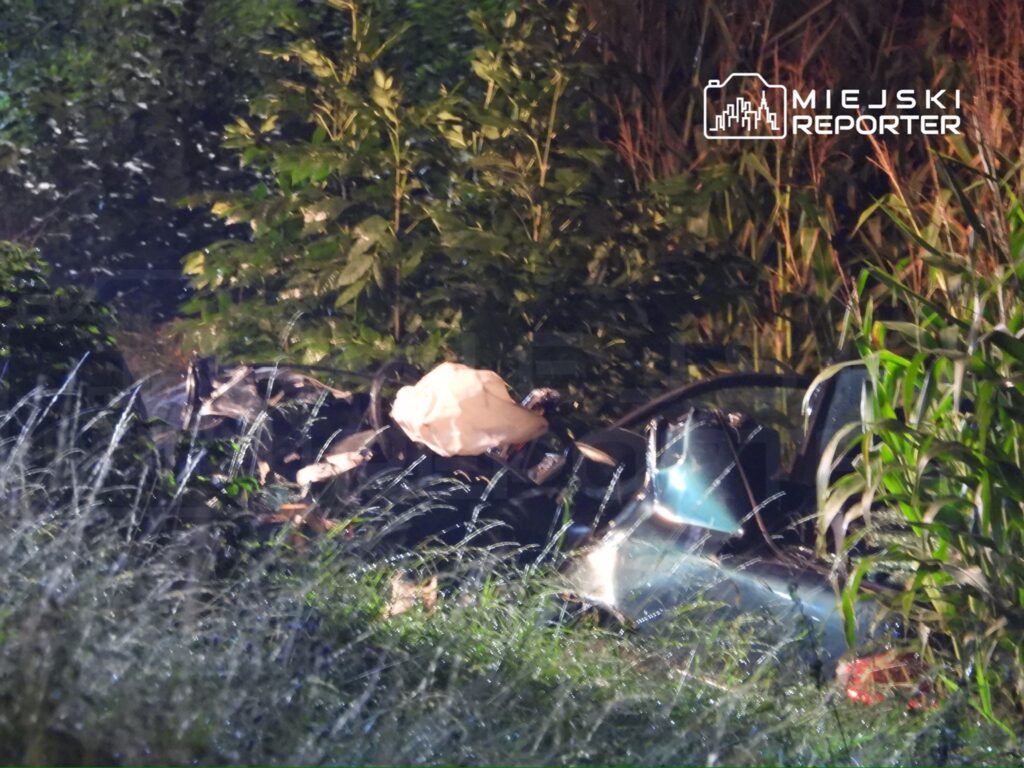 Wrak samochodu leży w gęstej roślinności, otoczony wysoką trawą i krzewami, z widocznymi uszkodzeniami.