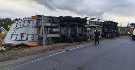 Ciężarówka przewożąca żywy inwentarz w rowie. Kierowca trafił do szpitala