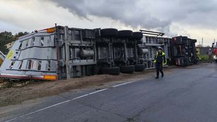 Ciężarówka przewożąca żywy inwentarz w rowie. Kierowca trafił do szpitala