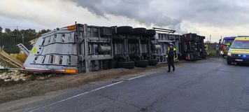 Ciężarówka przewożąca żywy inwentarz w rowie. Kierowca trafił do szpitala