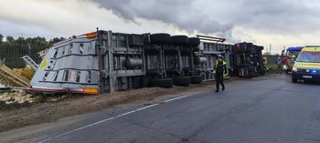 Ciężarówka przewożąca żywy inwentarz w rowie. Kierowca trafił do szpitala