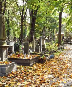 Długi na polskich cmentarzach. Zobacz, jakie są stawki za grób