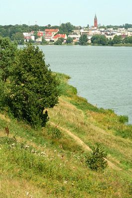 Obraz
