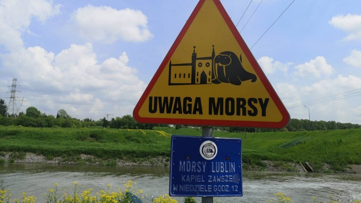 Miejscówka kąpieli morsów z Lublina przy tamie Zalewu Zemborzyckiego