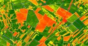 ARiMR analizuje uprawy z kosmosu. Sprawdź kolory działek w systemie dopłat
