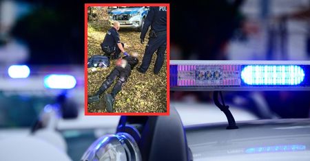 Atak nożownika w szkole. Nagrania już w sieci? Pilny apel Urzędu Miasta