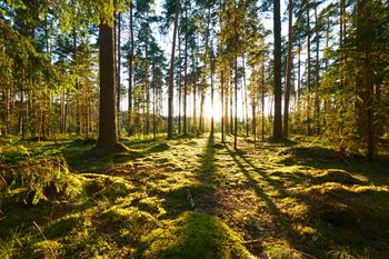 Szukacie ochłody latem? Są miejsca, gdzie "klimatyzacja" działa bez prądu