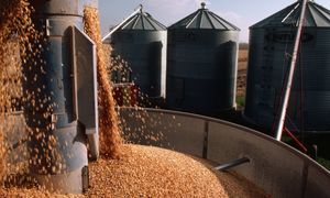 Bezpieczeństwo żywnościowe Polski. Rezerwy są niewystarczające