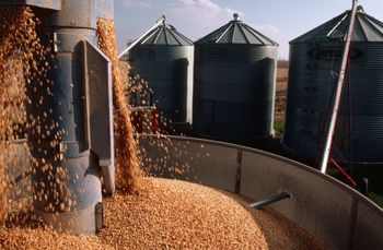 Bezpieczeństwo żywnościowe Polski. Rezerwy są niewystarczające