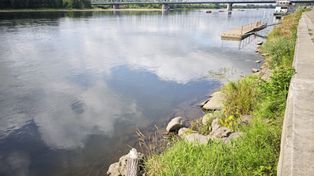 Mobilizują do oczyszczenia Wisły z ton odpadów. "Wisła potrzebuje naszej pomocy"