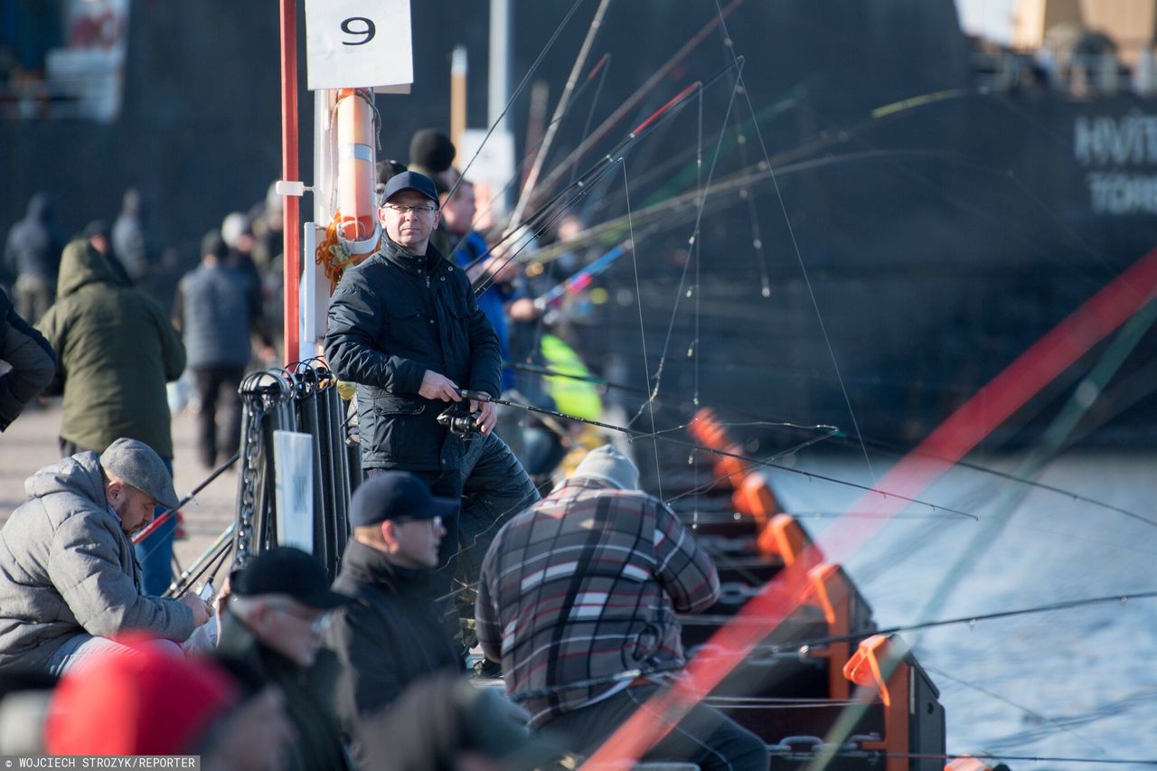 Ważna decyzja UE w sprawie połowów śledzi na Bałtyku. "To byłaby katastrofa"