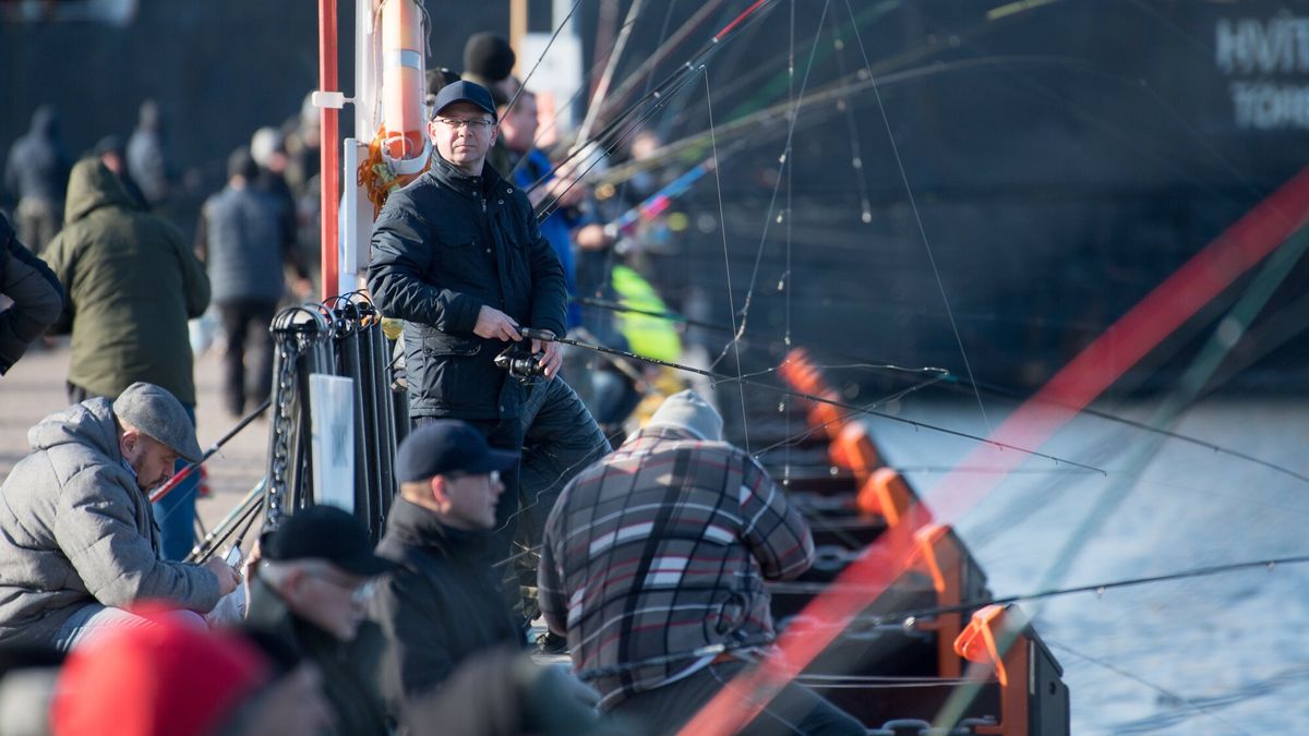 Na zdjęciu masowy połów śledzia w Gdańsku