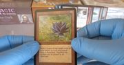 Rekordowa cena karty z Magic: The Gathering. "Kawałek papieru" za ponad 2 mln złotych