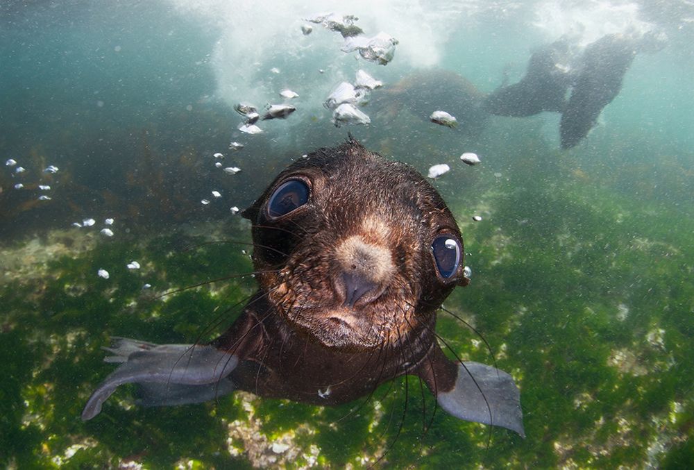 Trzech Polaków finalistami największego konkursu fotografii na świecie Sony World Photography Awards 2016 13
