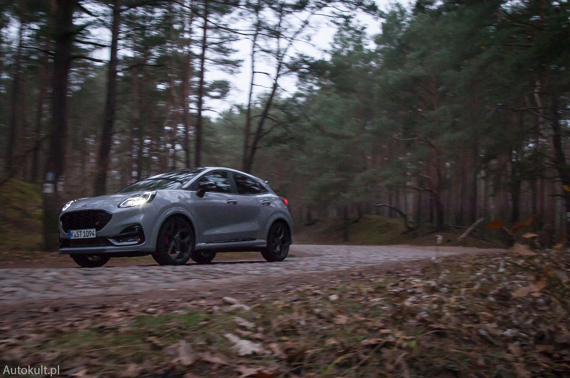 Ford Puma ST (2020) (fot. Mateusz Żuchowski)
