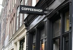 Ban na marihuanę w Amsterdamie. Zakaz w dzielnicy czerwonych latarni