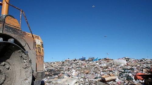 Na półkach zalega nawet 68 milionów komórek! 1