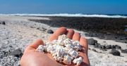 Niezwykłe zjawisko na plaży w Europie. Wygląda jak popcorn