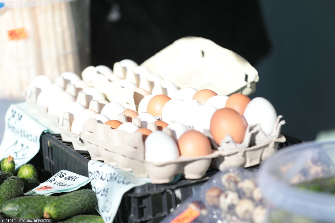 Brown eggs vanish from shelves as breeders favor white chickens