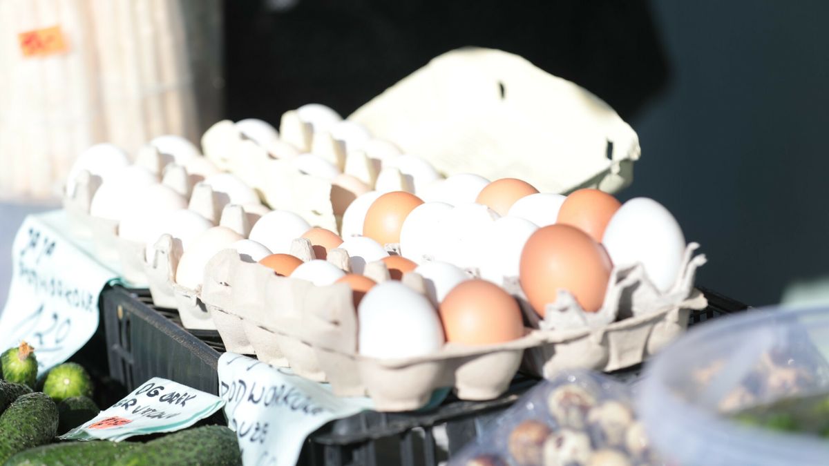 Reporter archiwum 2024 04
11.04.2024 Zielona Gora targ targowisko bazar N/z jajka jaja jajek jajkami 
fot. Piotr Jedzura/REPORTER
Piotr Jedzura/REPORTER