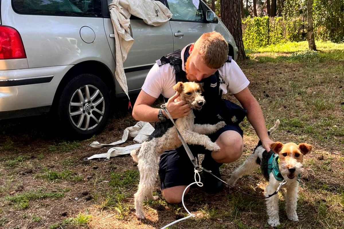 Sopot: psy uwięzione w nagrzanym samochodzie. Przeraźliwy dźwięk