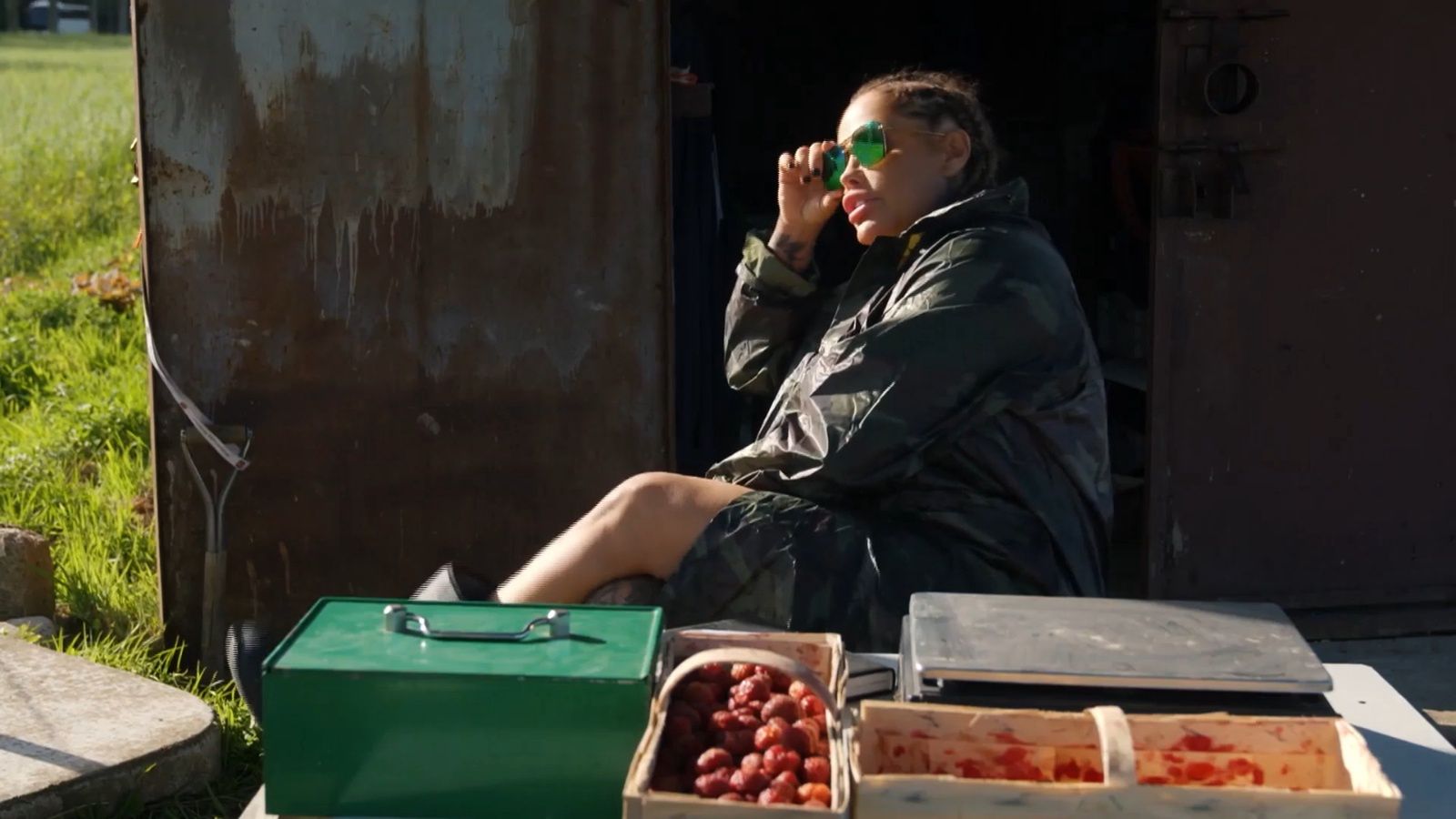 Laluna Unique na plantacji truskawek