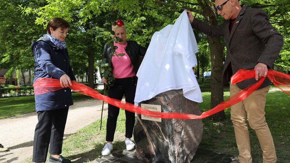 Kamień ogrodnik Kamucki Szczecinek