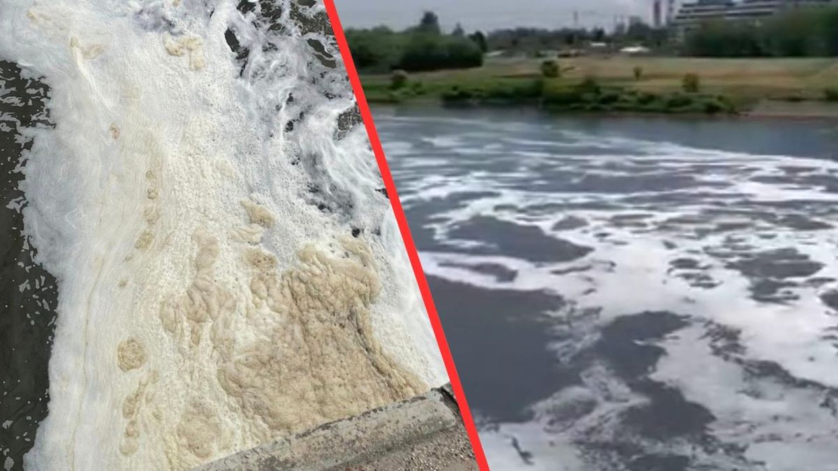 Skażona Wisła w Krakowie.