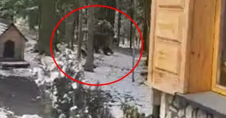 Tego się nie spodziewała przed własnym domem. "Na zawał bym zeszła"