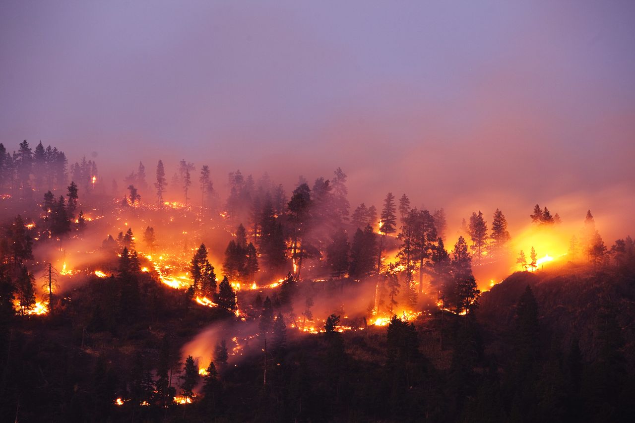 Arctic forests ablaze: Record fires signal climate crisis escalation