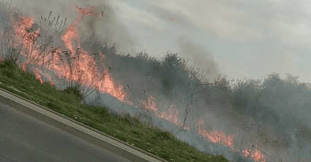 Lublin: Dwa pożary suchych traw przy ul. Szeligowskiego. Przyczyną podpalenia